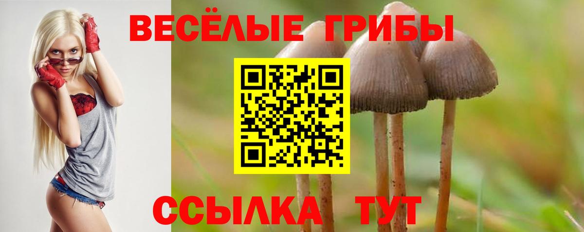 Псилоцибиновые грибы GOLDEN TEACHER  Вход с VPN  Нижнеудинск 